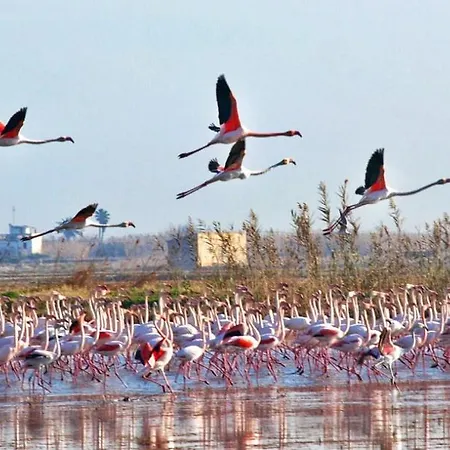 Town Center El Valencia *